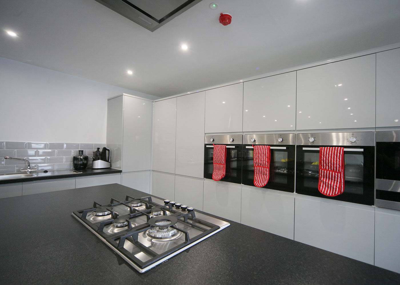 The Farewell, Castleton: completed housing project by PLP Construction, photo 8